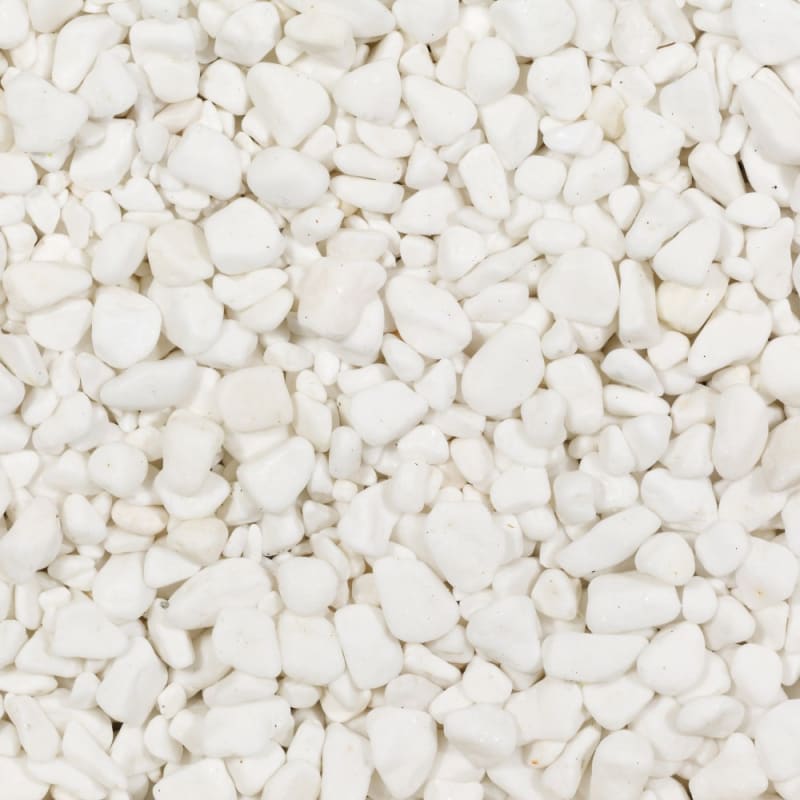 Polar White