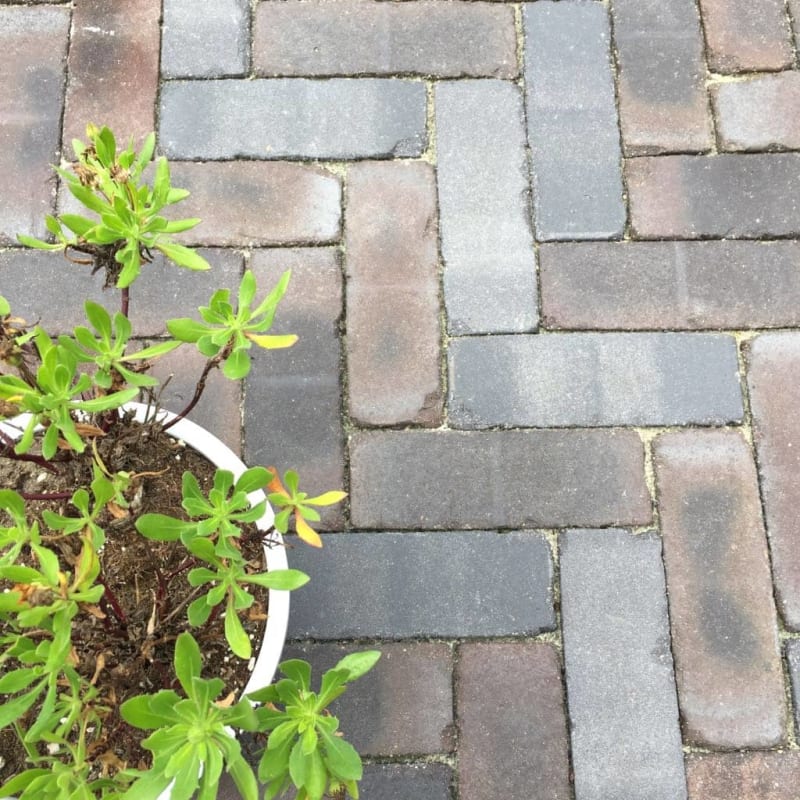 Gebakken dikformaat Terra Ancona Antica