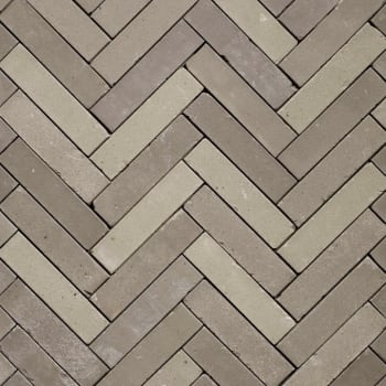 Gebakken dikformaat Lotis
