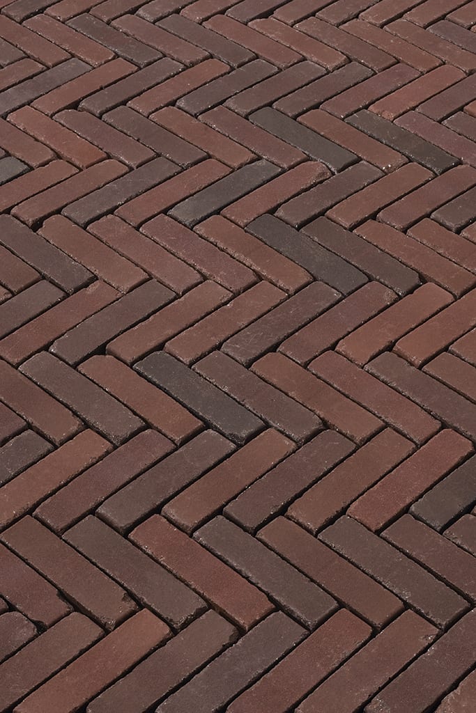 Gebakken waalformaat Terra Novara Antica