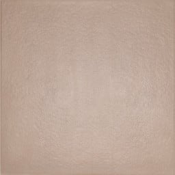 Elegnace Dust